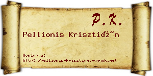Pellionis Krisztián névjegykártya